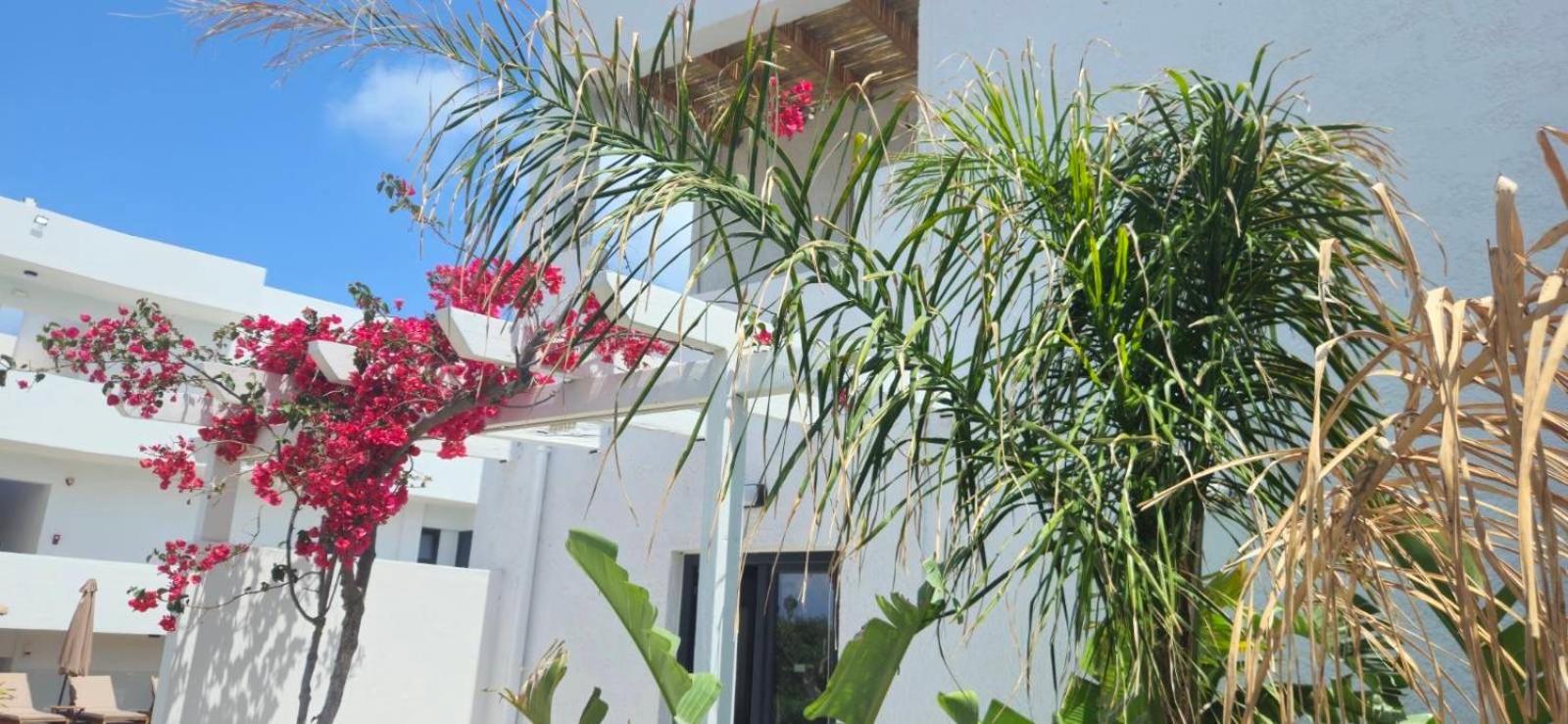 Aegean View Hotel - Adults Only Сфакаки Экстерьер фото